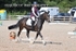 BPP_7154