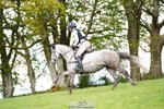 H-359-Harry.Horton portfolio