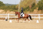 SBM_016834