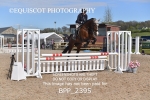 BPP_2395