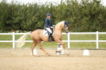 SBM_018505