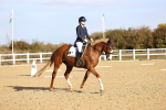 SBM_009065