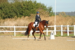 SBM_000162