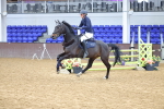 SBM_009498
