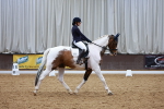 SBM_003534