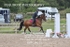 BPP_4631