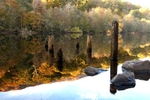 Autumn Reflections
