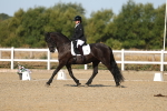 SBM_012641