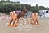 BPP_2954