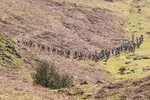 Elterwater-312