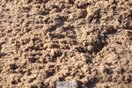 260424-082805-08843