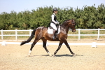 SBM_004849