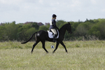 BVHT 140517 -91