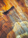 Chainsaw Study #2