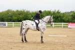 SBM_005939
