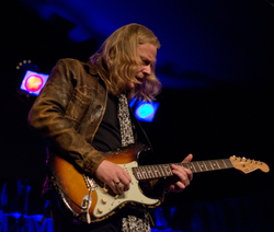 Bristol International Jazz & Blues Festival. portfolio