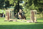 SBM_37219