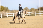 SBM_009086