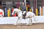 BPP_1028