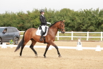 SBM_009404