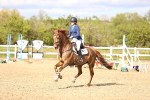 SBM_003703