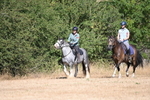 WJ6_7776