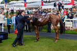 220826-Race 1-Archivist-0281