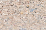 230520A-124818-00918