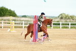 SBM_006523