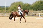 SBM_022288
