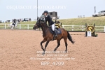 BPP_4209