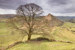 Chrome Hill