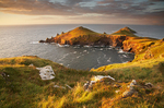 The Rumps