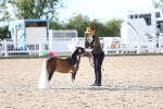 Class 319 - IH Miniature Horse portfolio