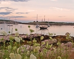 Gosport Harbor 11 x 14 copy