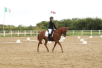 SBM_009608