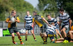 Rugby Sevens Festival 2020-20