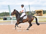 BPP_3134