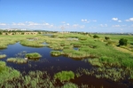 BSPB Poda Protected Area, Burgas Province, Bulgaria