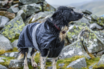 Matterdale-265