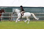 SBM_09531