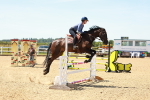 SBM_006038