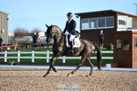 263-Jezz.Palmer-Toddington.Debut portfolio