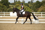 SBM_003424