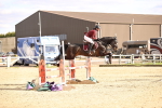 SBM_003978