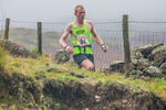 Langdale-910