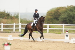 SBM_009881