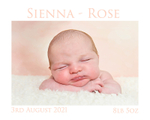 sienna collage 3