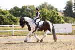 SBM_008618_Novice 5 - 830-933