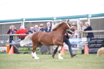 SBM_09758